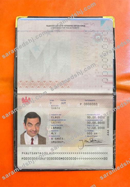 Austria passport photo look